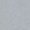 Gris blanc 6021